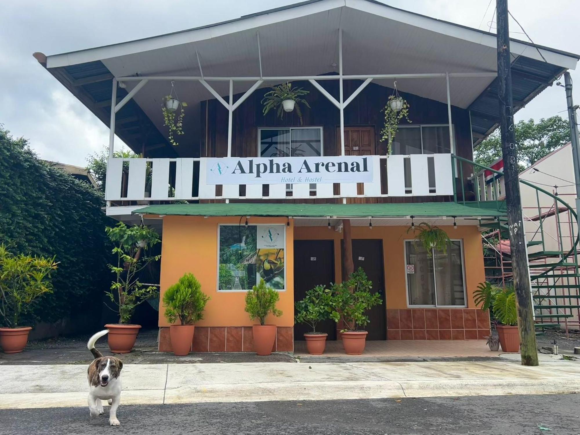 Alpha Arenal Hostel La Fortuna Luaran gambar